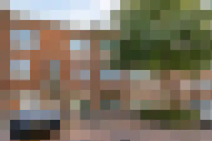 Heelsumstraat 85 Den Haag thumbnail 7