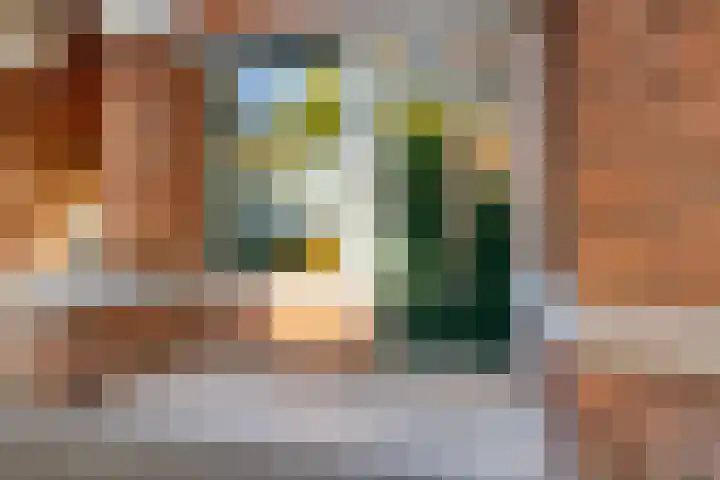 Heelsumstraat 85 Den Haag thumbnail 9