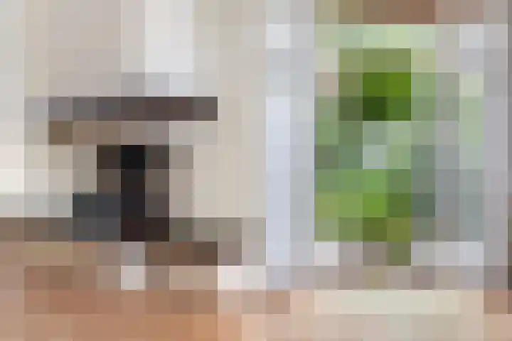 Heelsumstraat 9 Den Haag thumbnail 8