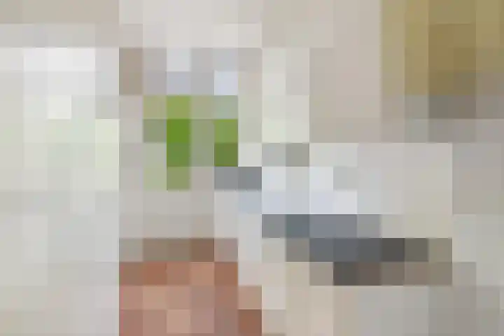 Heelsumstraat 9 Den Haag thumbnail 9