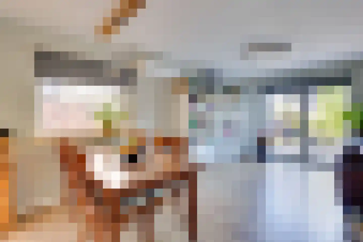 Heelweg 17 C Dinxperlo thumbnail 10