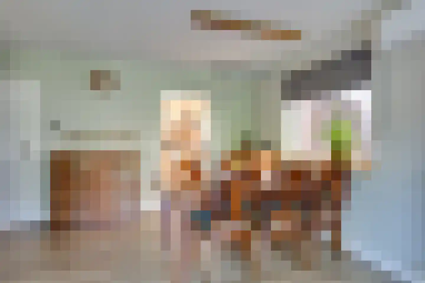 Heelweg 17 C Dinxperlo thumbnail 12