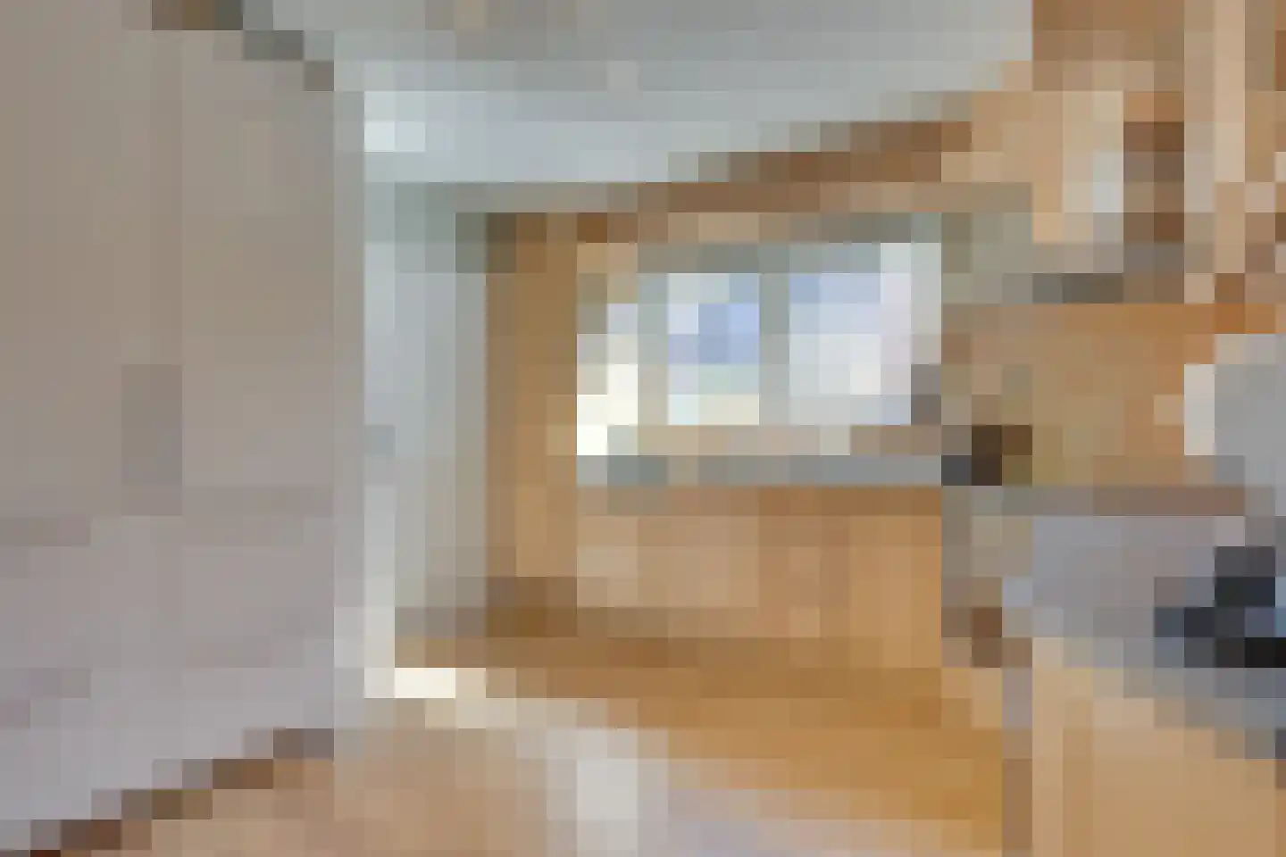 Heelweg 17 C Dinxperlo thumbnail 14