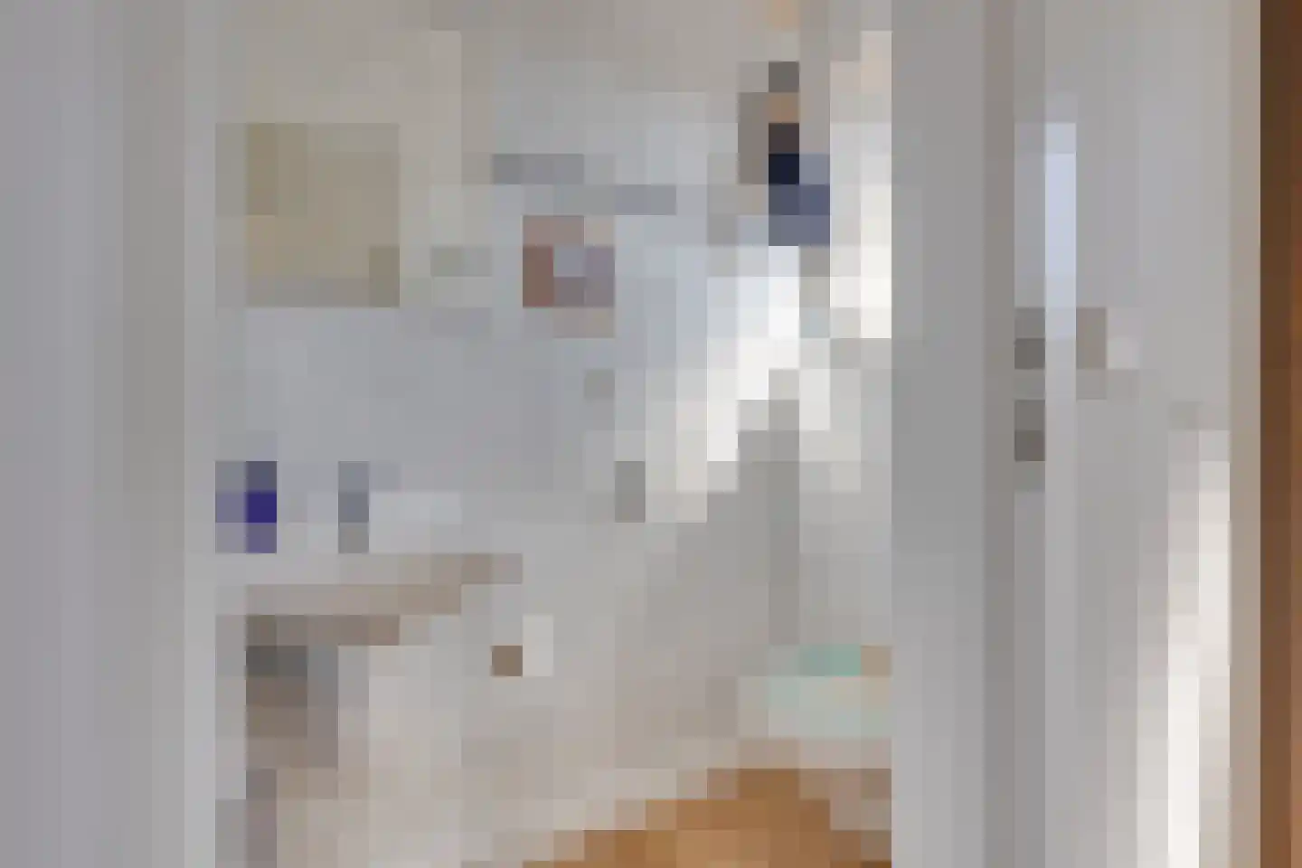 Heelweg 17 C Dinxperlo thumbnail 19