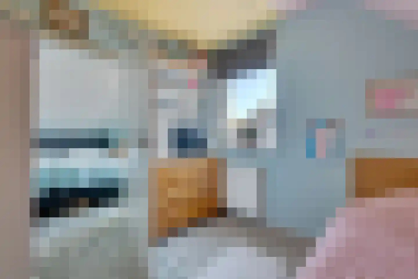 Heelweg 17 C Dinxperlo thumbnail 22
