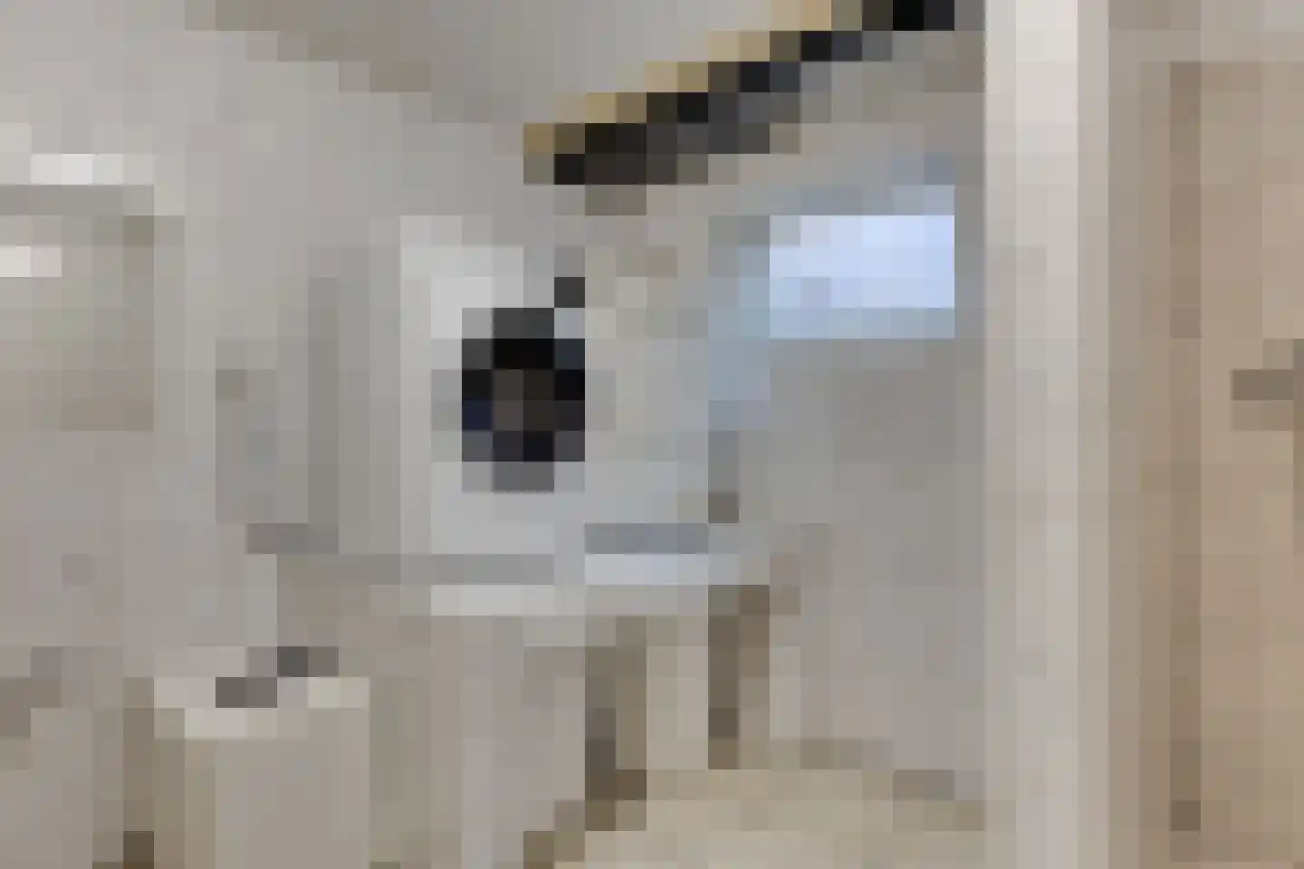 Heelweg 17 C Dinxperlo thumbnail 32