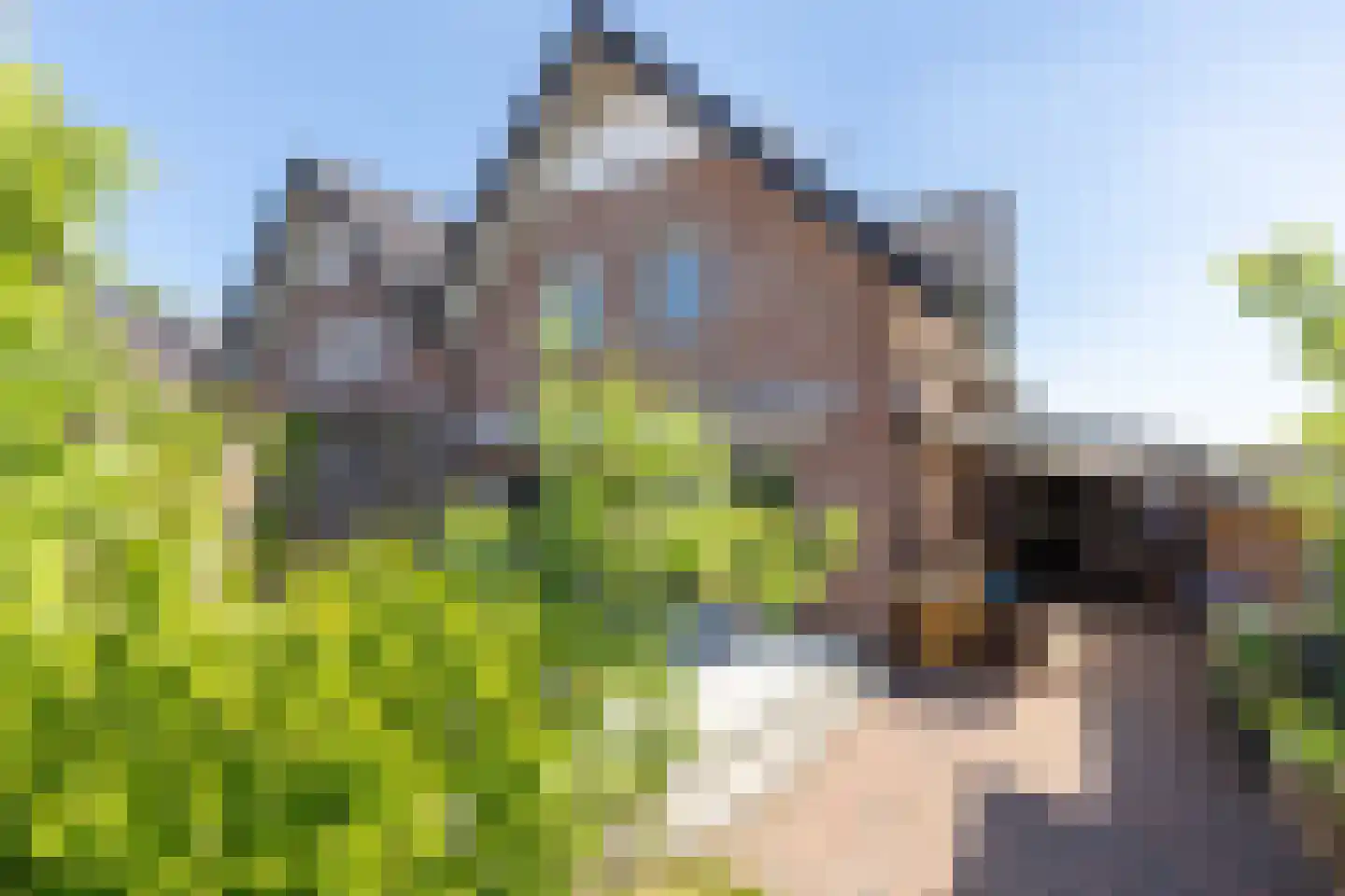Heelweg 17 C Dinxperlo thumbnail 36