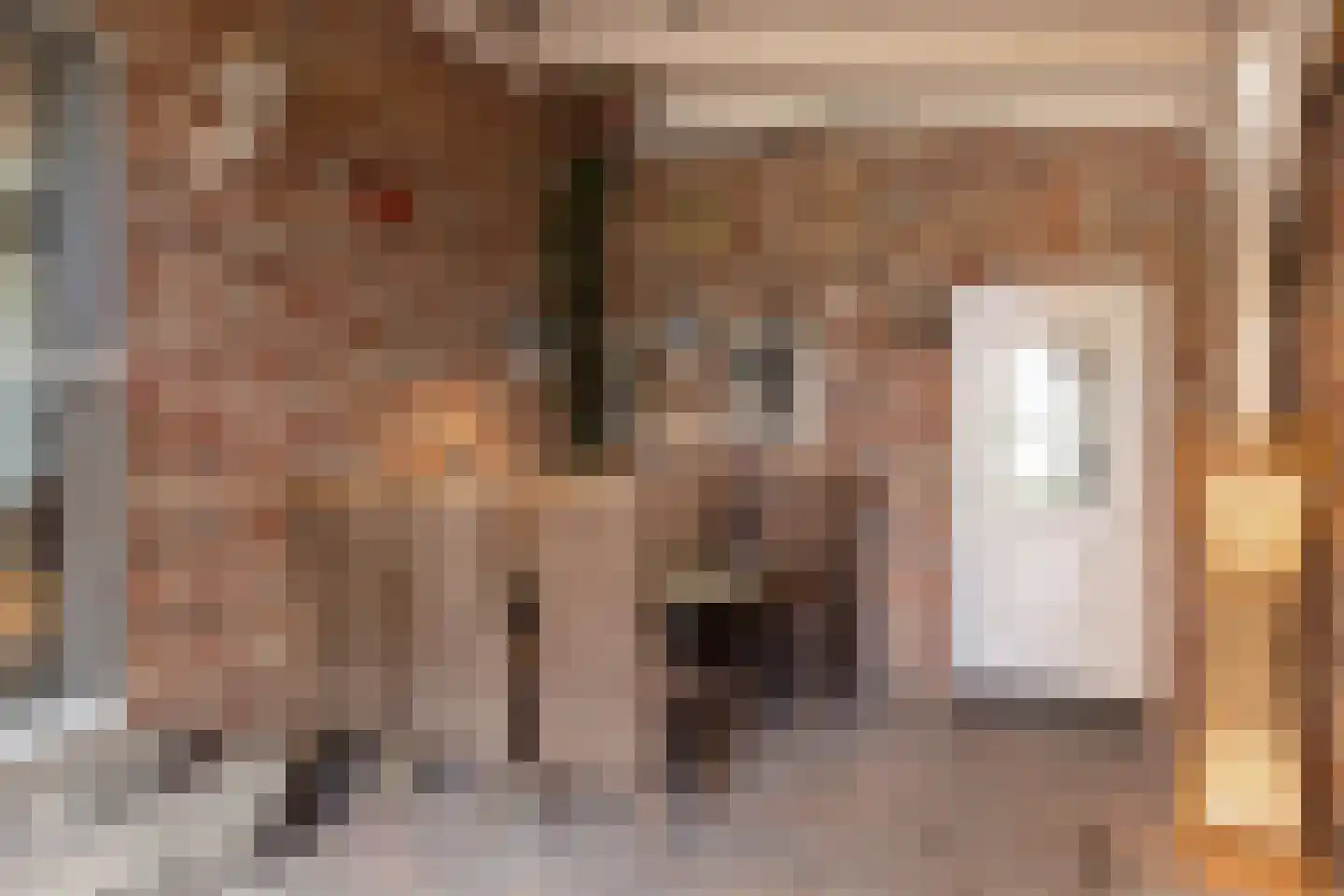 Heelweg 17 C Dinxperlo thumbnail 38