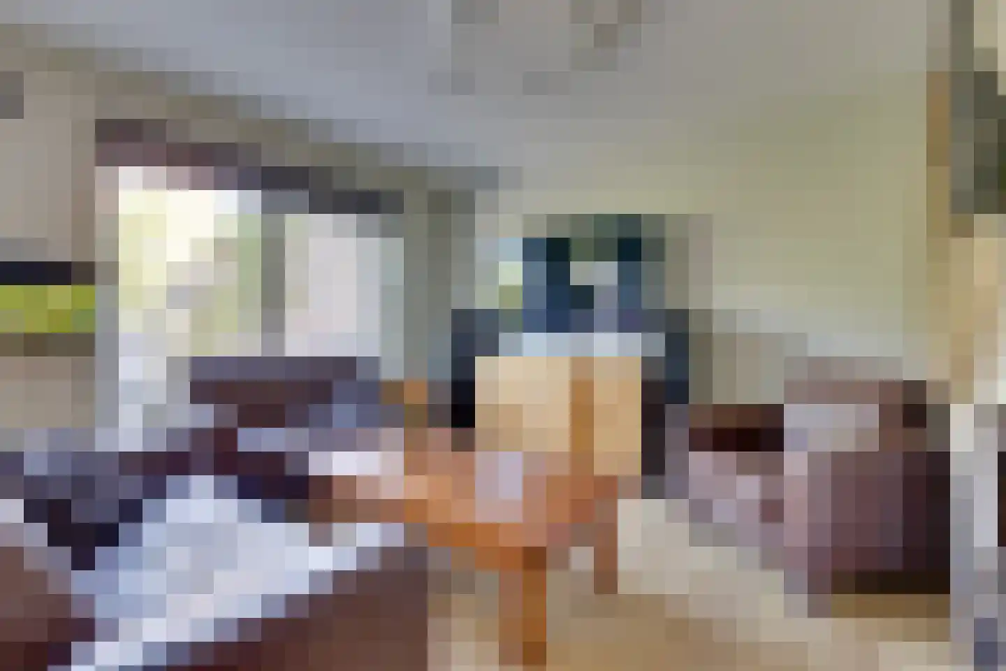 Heelweg 17 C Dinxperlo thumbnail 6