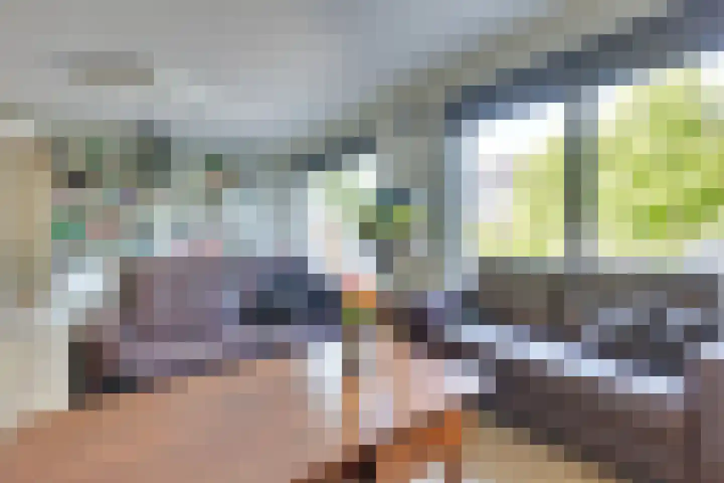 Heelweg 17 C Dinxperlo thumbnail 7