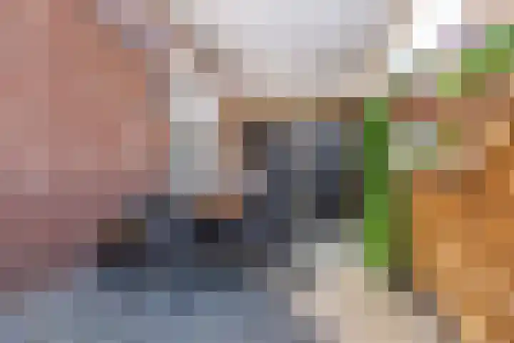 Heelweg 17 Dinxperlo thumbnail 37