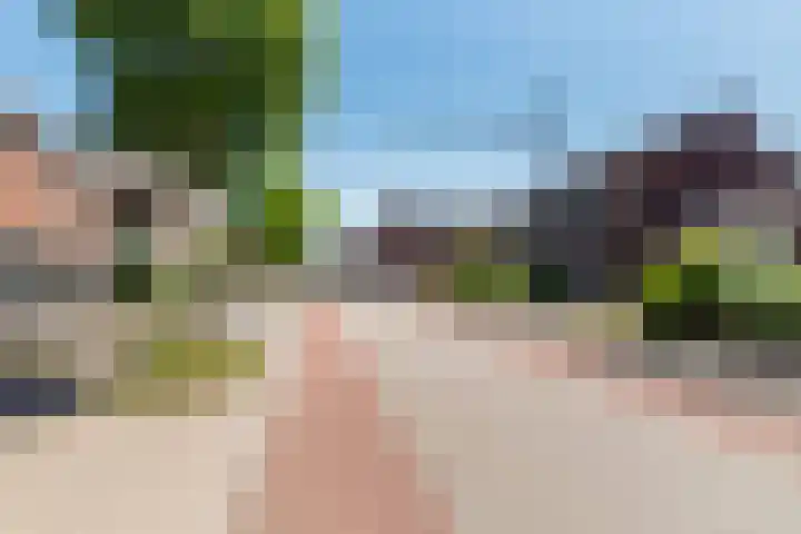 Heelweg 17 Dinxperlo thumbnail 40