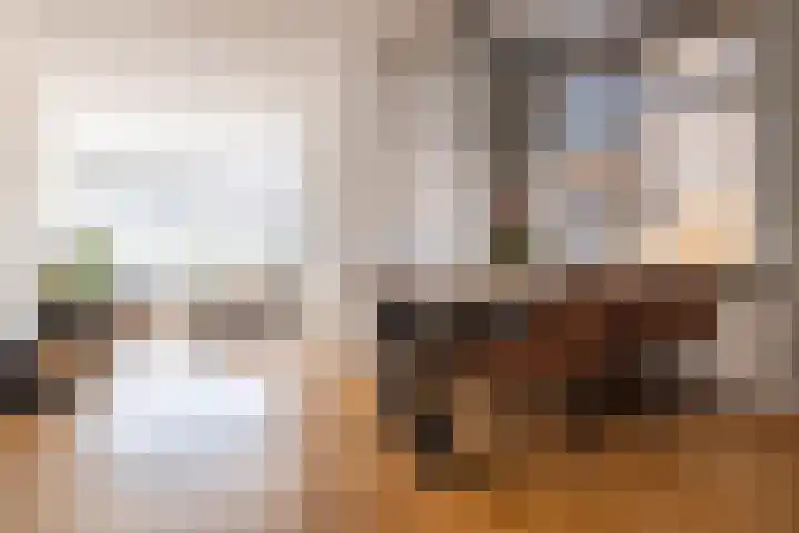 Heelweg 17 Dinxperlo thumbnail 9