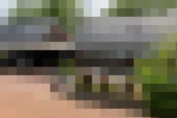 Heelweg 2 b Beltrum thumbnail 24