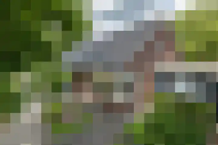 Heelweg 2 b Beltrum thumbnail 30