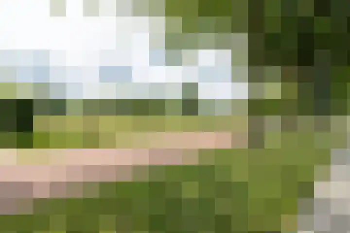 Heelweg 2 b Beltrum thumbnail 34