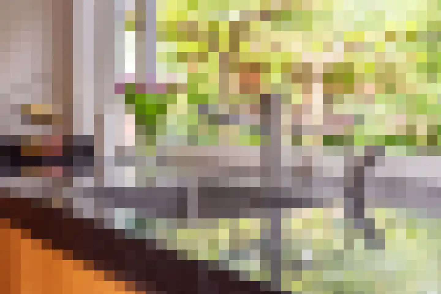 Heelweg 27 Dinxperlo thumbnail 17