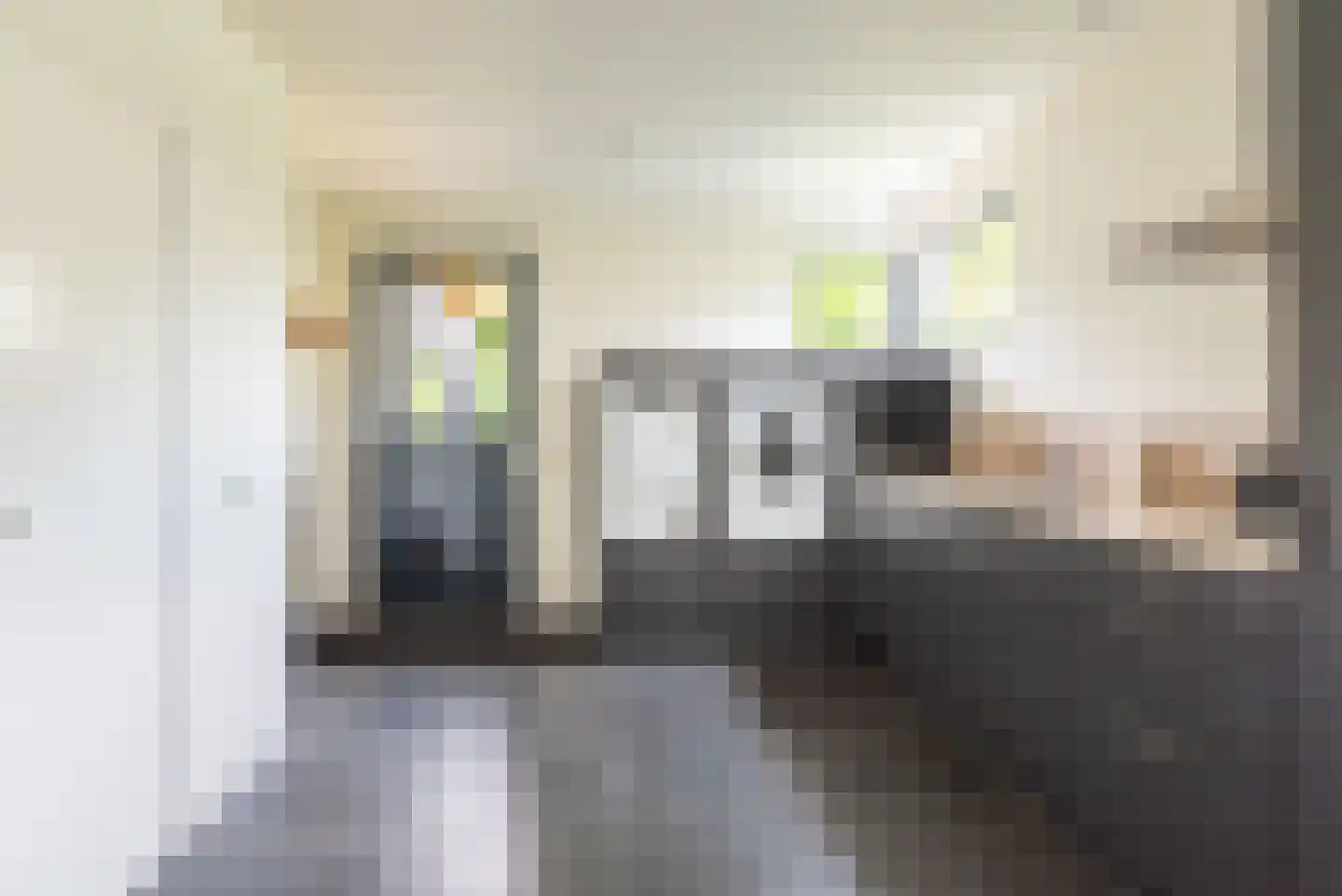 Heelweg 27 Dinxperlo thumbnail 30