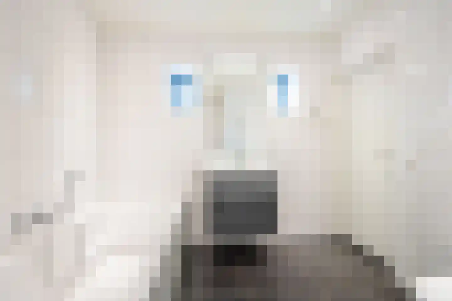 Heelweg 27 Dinxperlo thumbnail 39