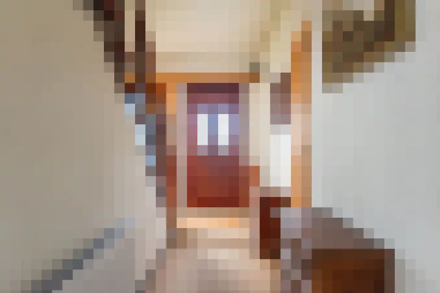 Heelweg 27 Dinxperlo thumbnail 40