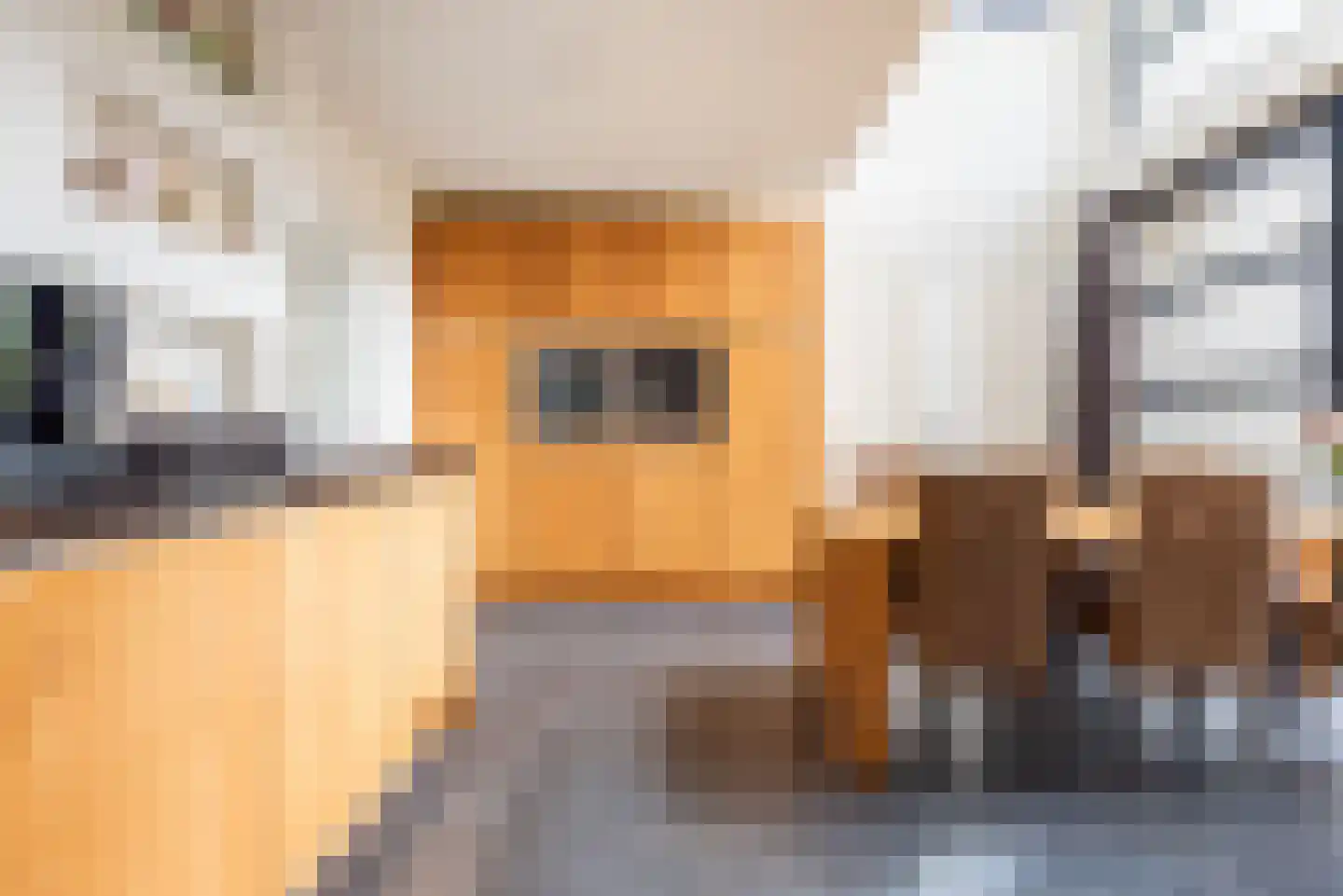 Heelweg 27 Dinxperlo thumbnail 5