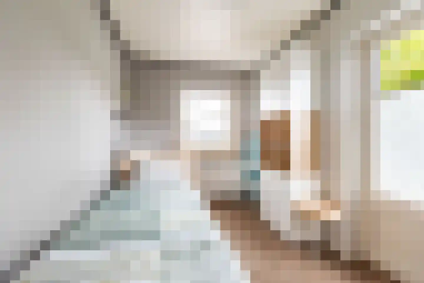 Heelweg 27 Dinxperlo thumbnail 50