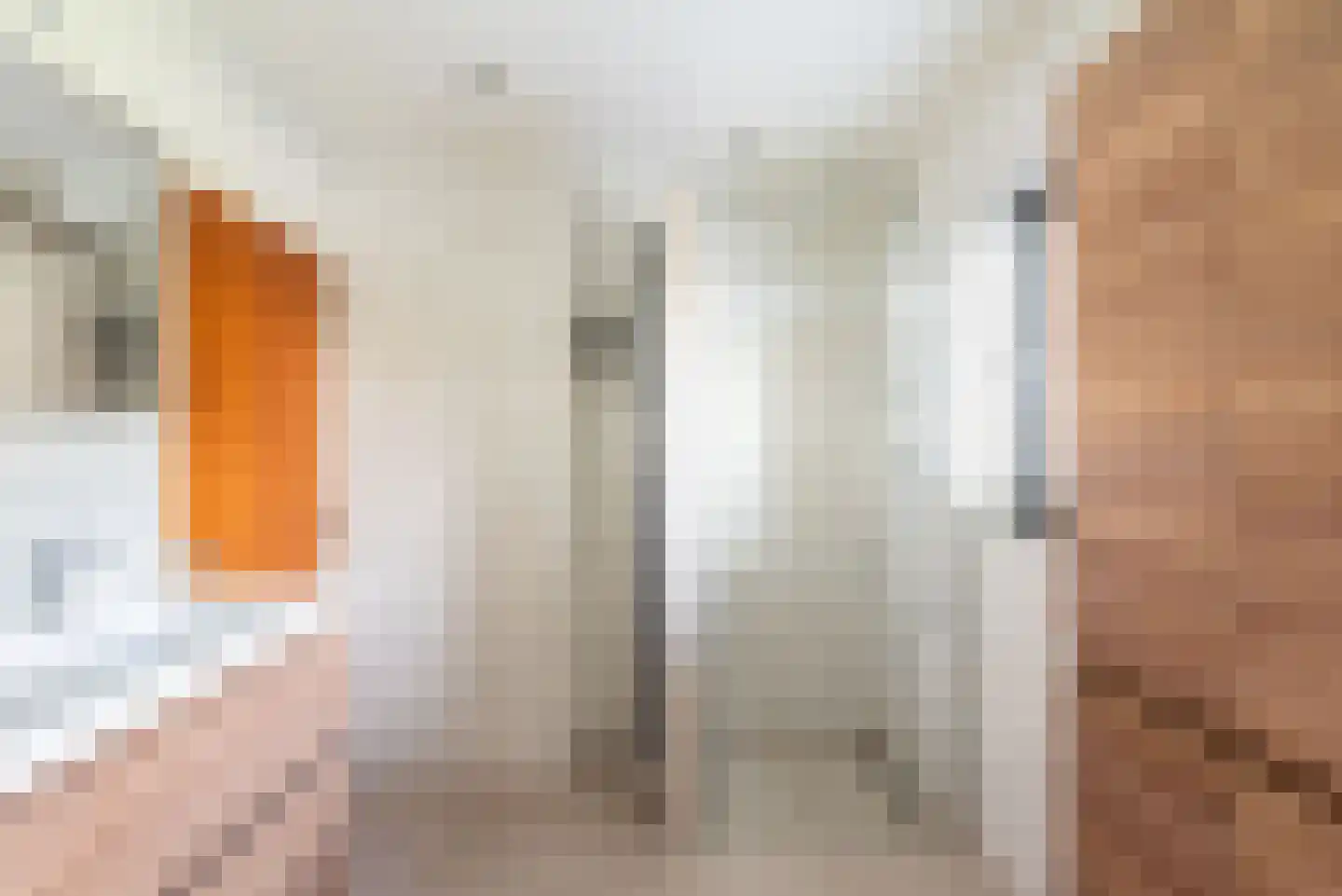 Heelweg 27 Dinxperlo thumbnail 51