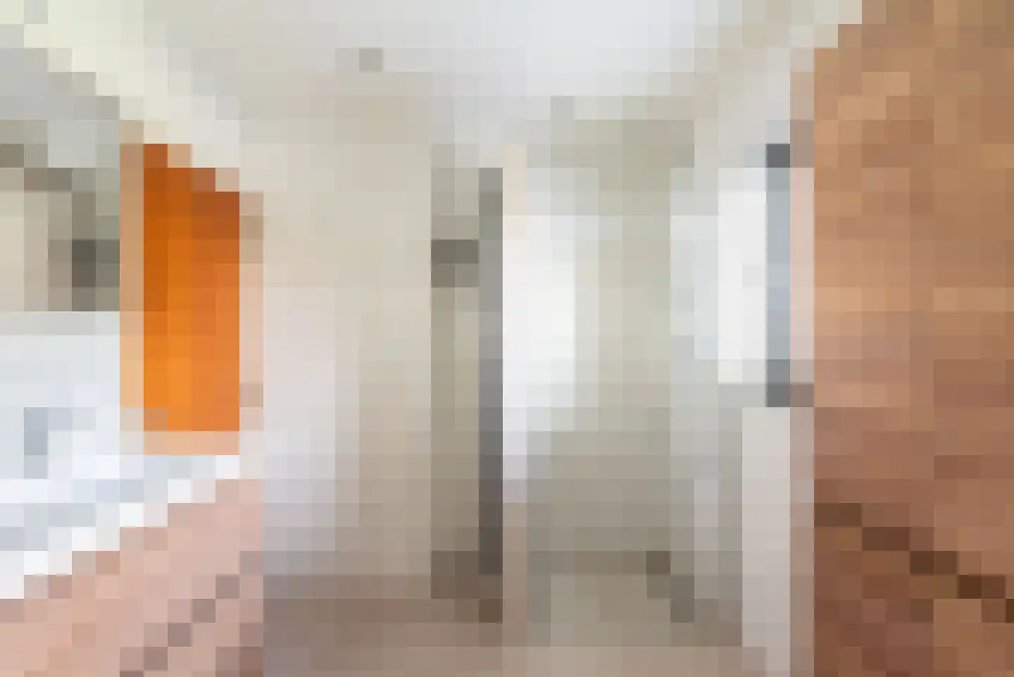 Heelweg 27 Dinxperlo thumbnail 55