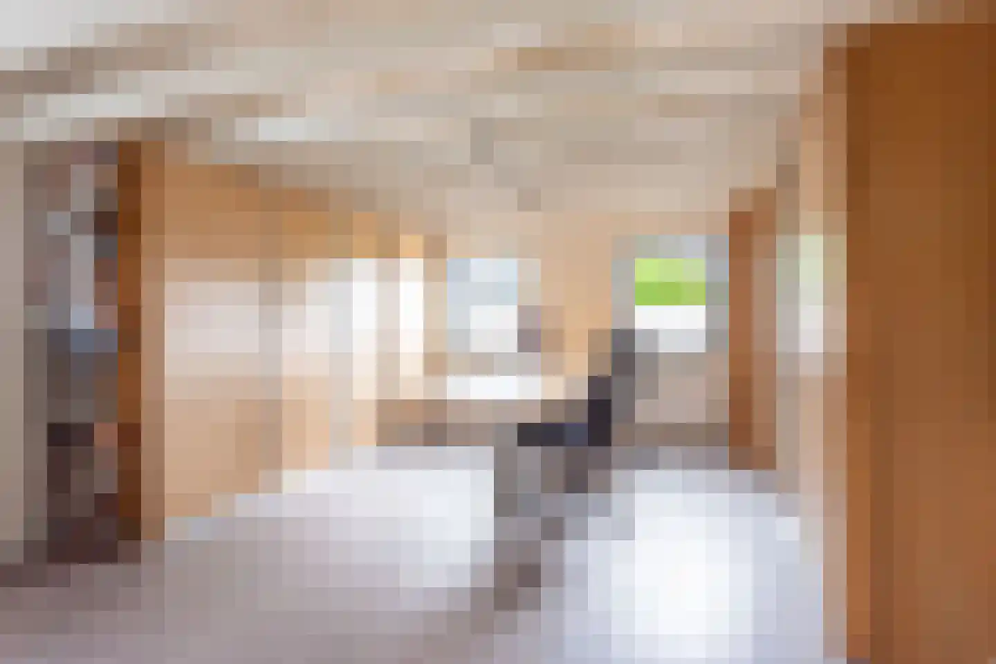 Heelweg 27 Dinxperlo thumbnail 66