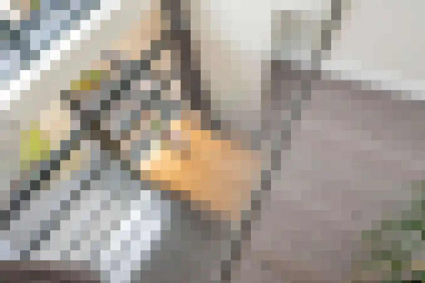 Heelweg 27 Dinxperlo thumbnail 70