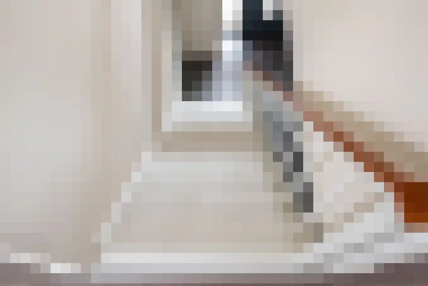 Heelweg 27 Dinxperlo thumbnail 73