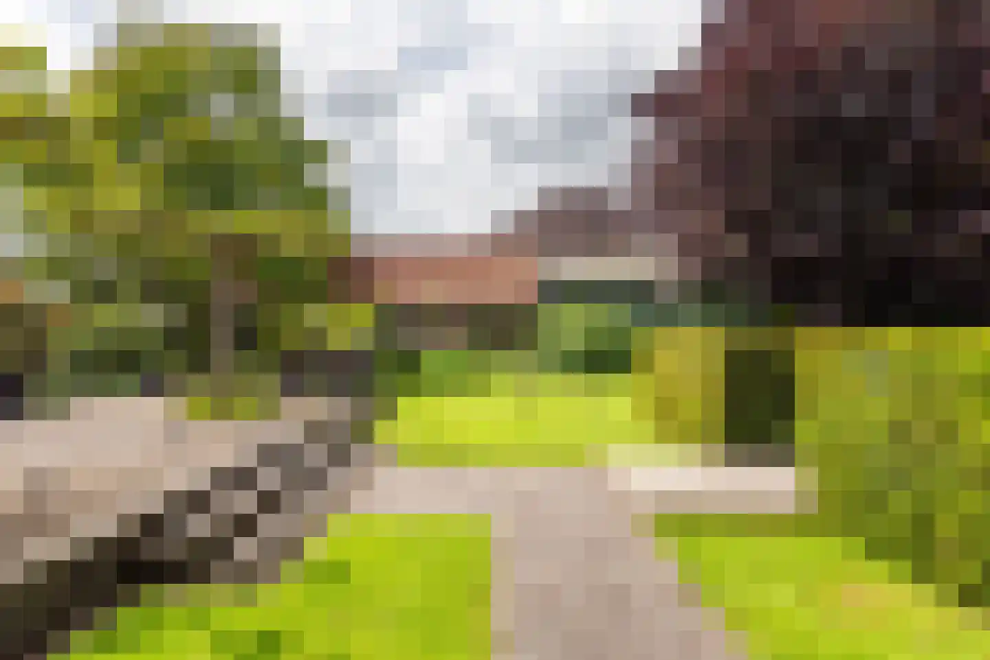 Heelweg 27 Dinxperlo thumbnail 75