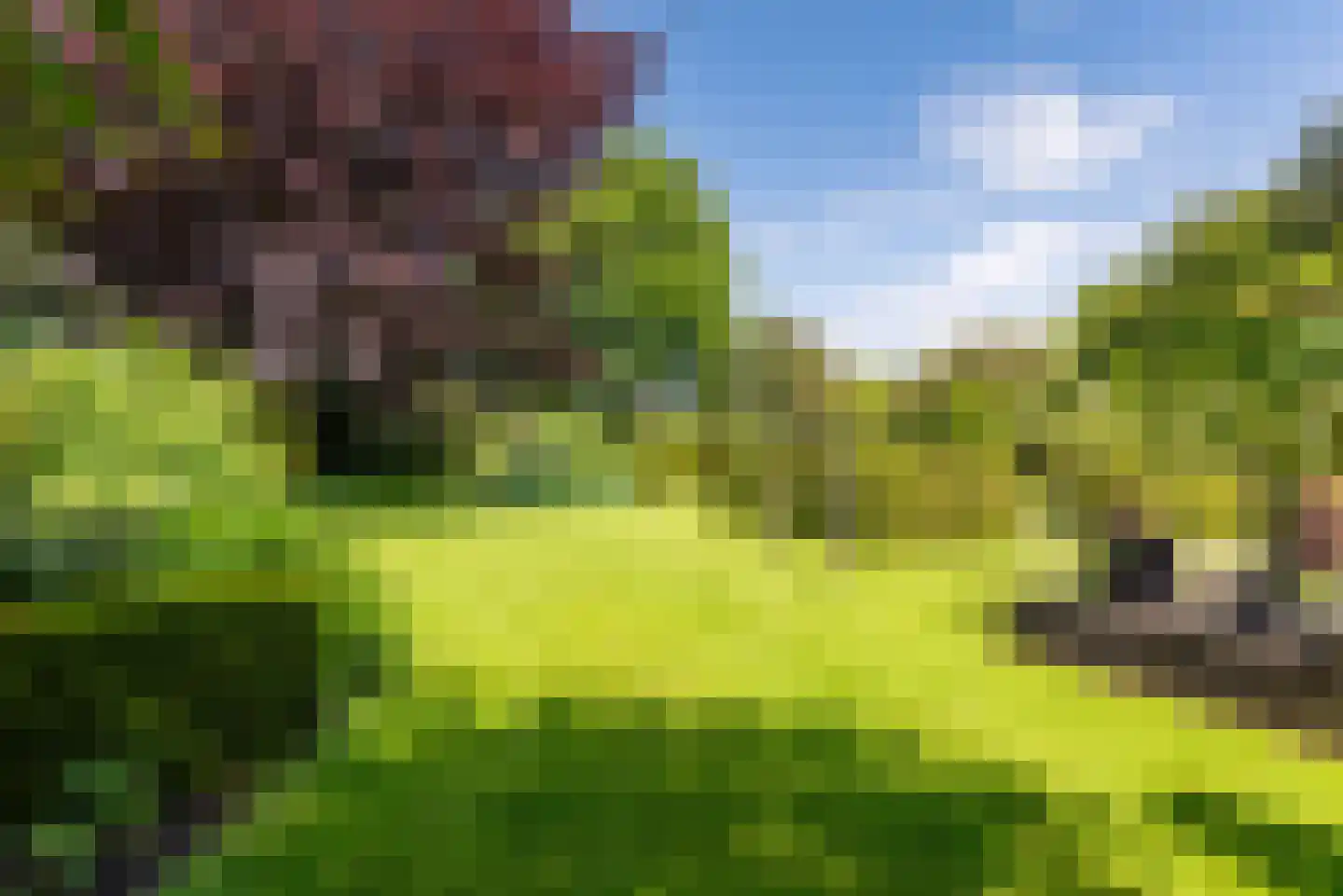 Heelweg 27 Dinxperlo thumbnail 76
