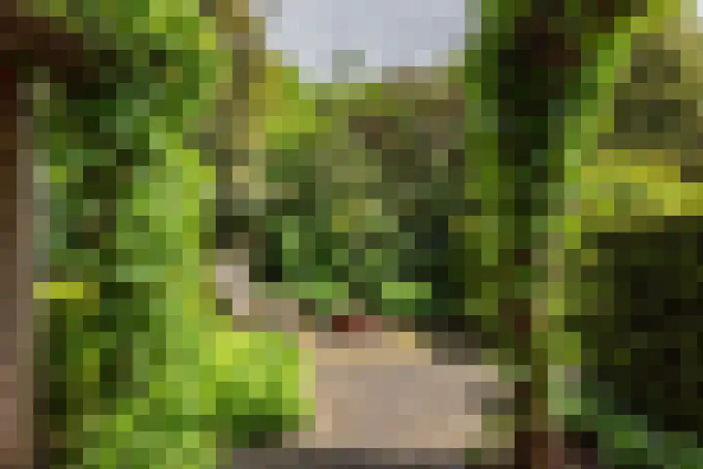 Heelweg 27 Dinxperlo thumbnail 79