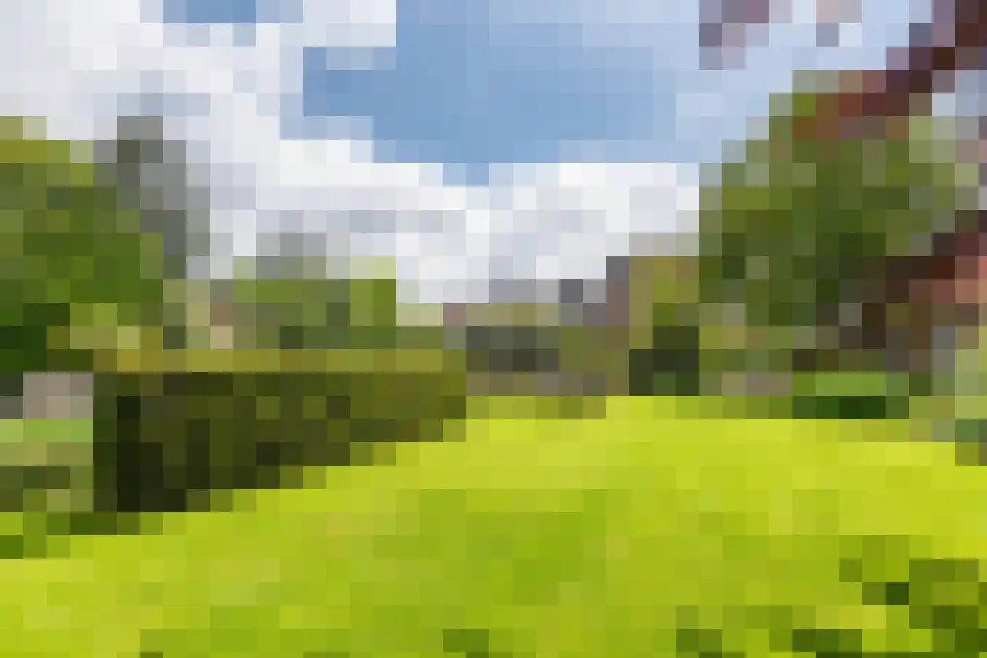 Heelweg 27 Dinxperlo thumbnail 83