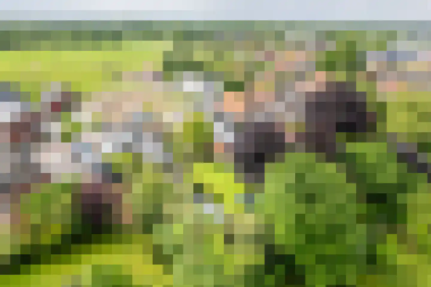 Heelweg 27 Dinxperlo thumbnail 84