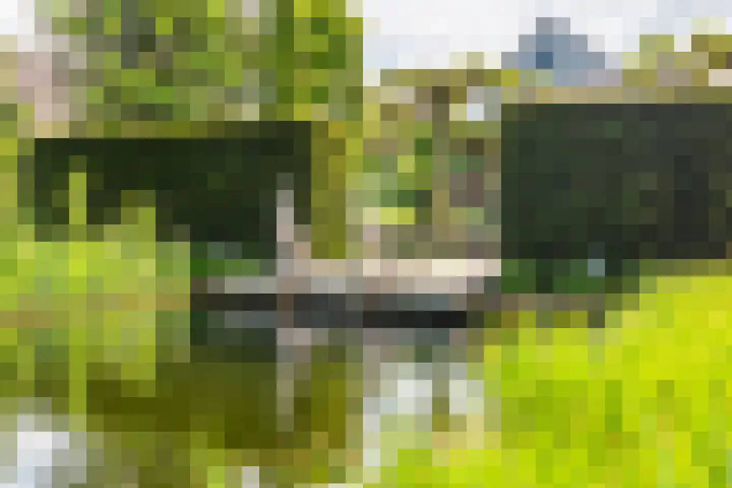 Heelweg 27 Dinxperlo thumbnail 84