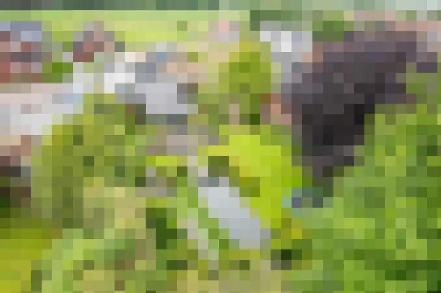 Heelweg 27 Dinxperlo thumbnail 87
