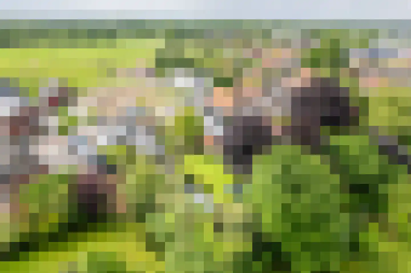Heelweg 27 Dinxperlo thumbnail 88
