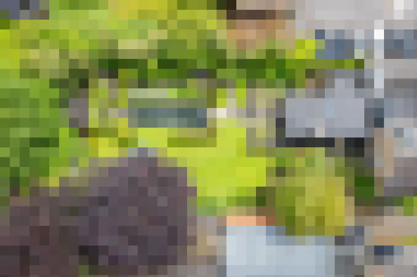 Heelweg 27 Dinxperlo thumbnail 89