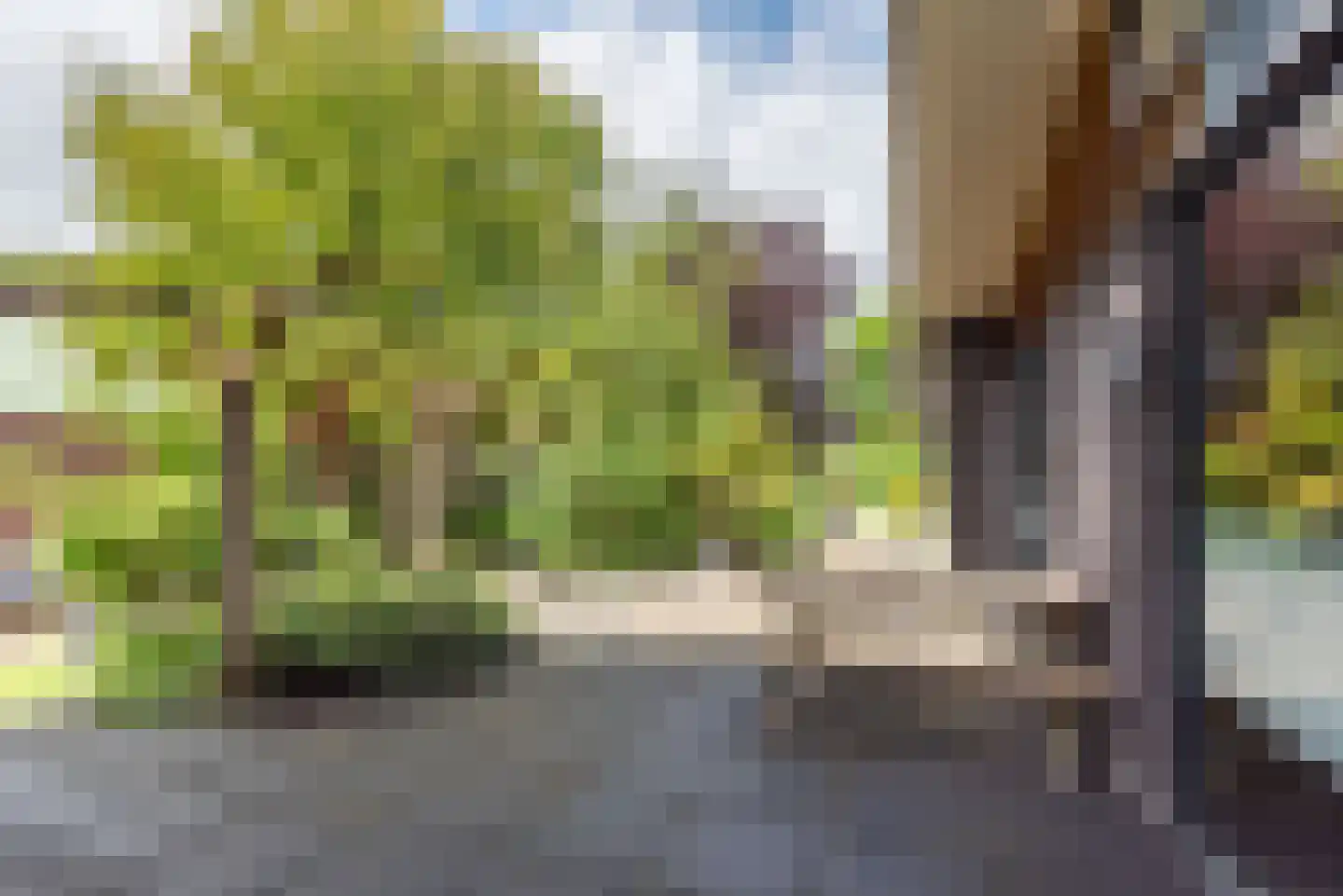 Heelweg 27 Dinxperlo thumbnail 91