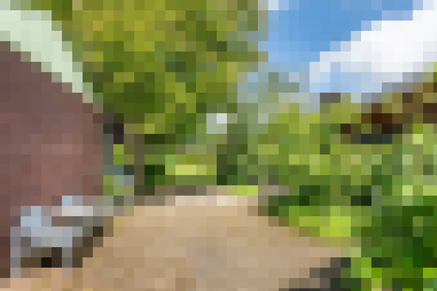 Heelweg 27 Dinxperlo thumbnail 92
