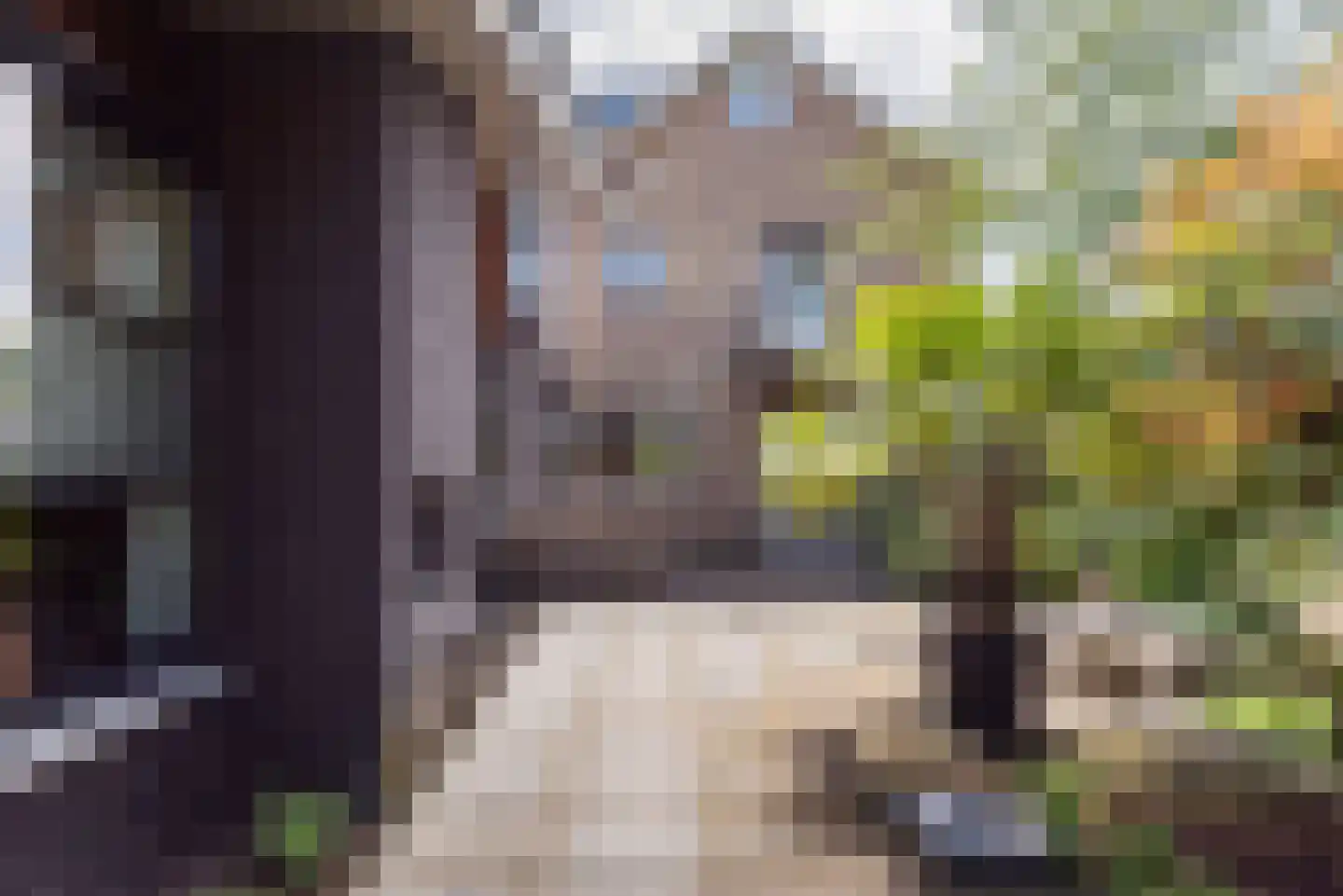 Heelweg 27 Dinxperlo thumbnail 93