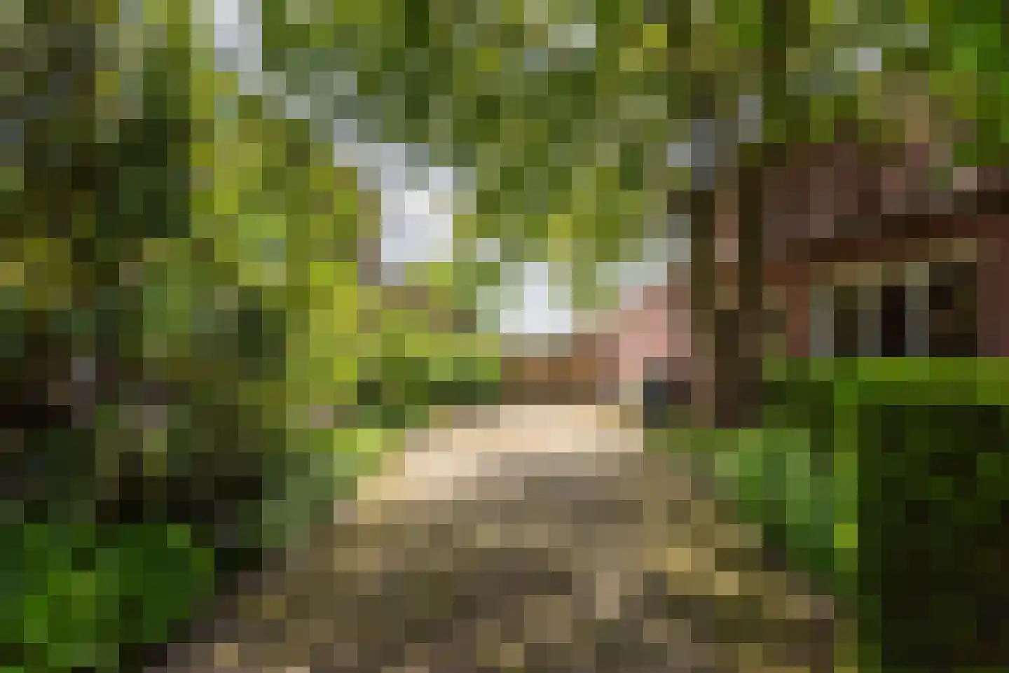 Heelweg 27 Dinxperlo thumbnail 94