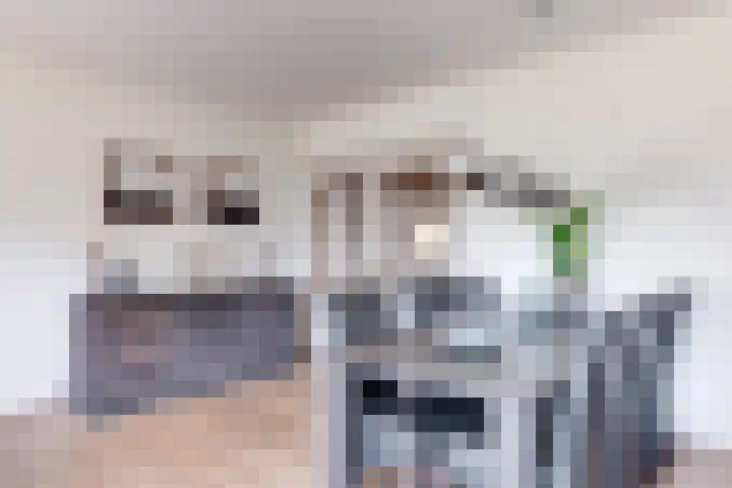 Heelweg 37 A Dinxperlo thumbnail 14