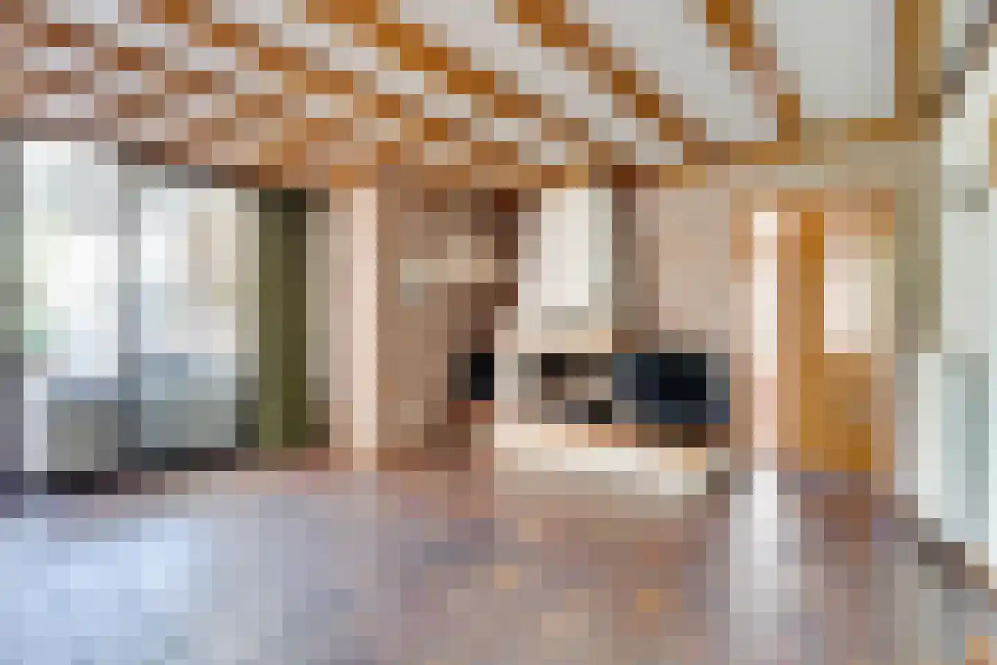 Heelweg 37 A Dinxperlo thumbnail 16