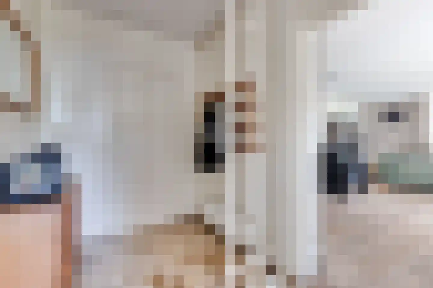 Heelweg 37 A Dinxperlo thumbnail 19