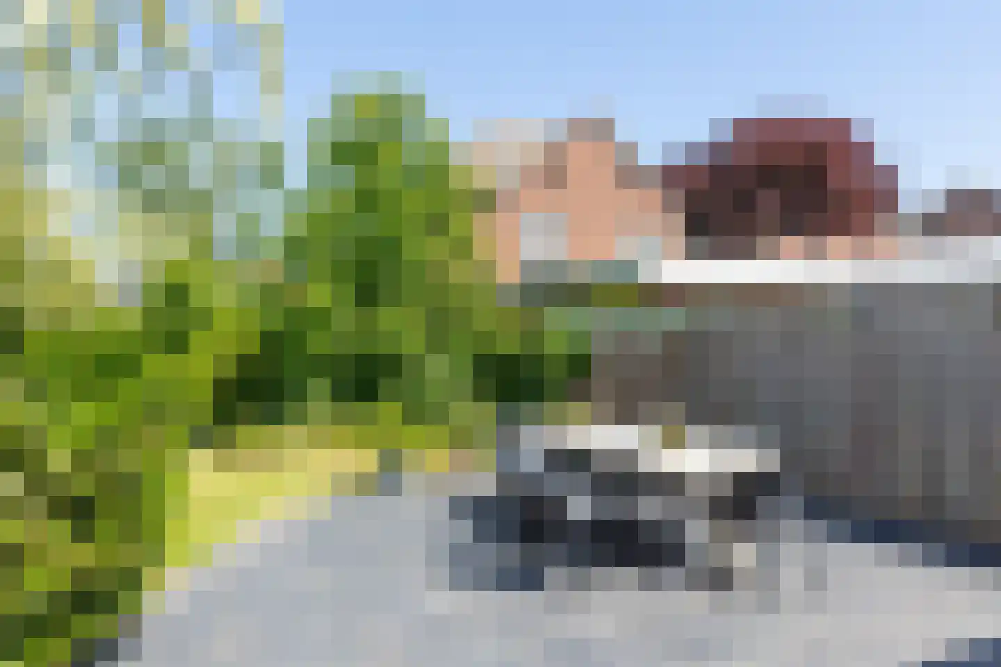 Heelweg 37 A Dinxperlo thumbnail 27