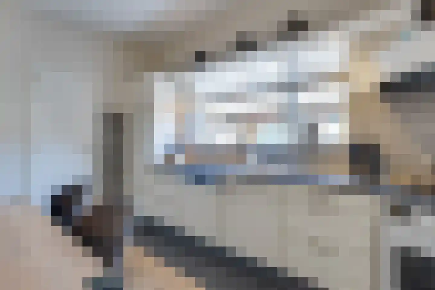 Heelweg 37 Dinxperlo thumbnail 10