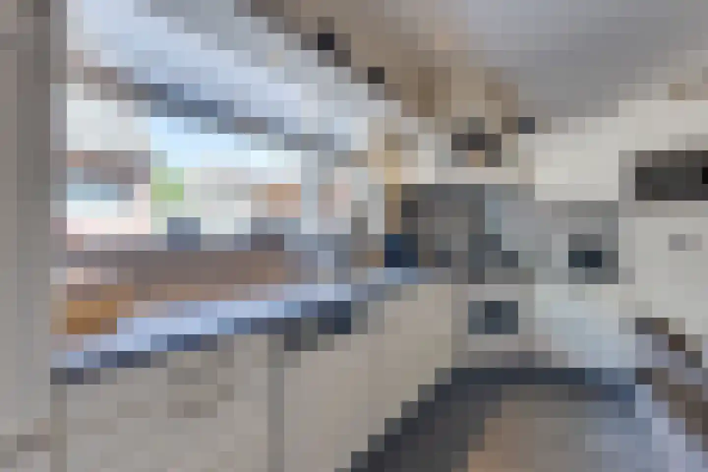 Heelweg 37 Dinxperlo thumbnail 11